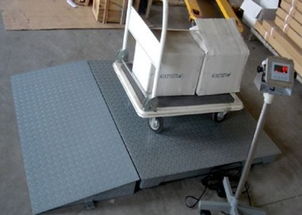 專業直供 1噸、2噸、3噸電子地磅與配套網絡技術服務，一站式解決方案